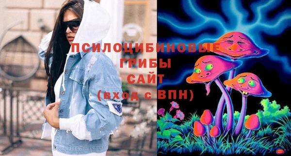 ГАЛЛЮЦИНОГЕННЫЕ ГРИБЫ Абдулино
