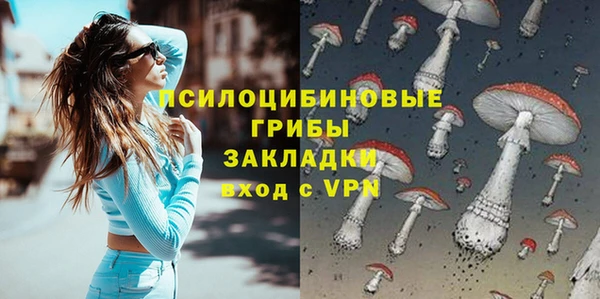 мдпв Абаза