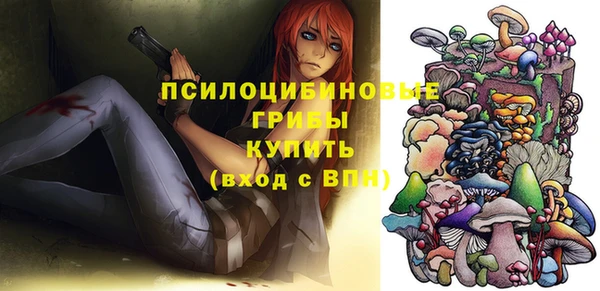 ГАЛЛЮЦИНОГЕННЫЕ ГРИБЫ Абдулино